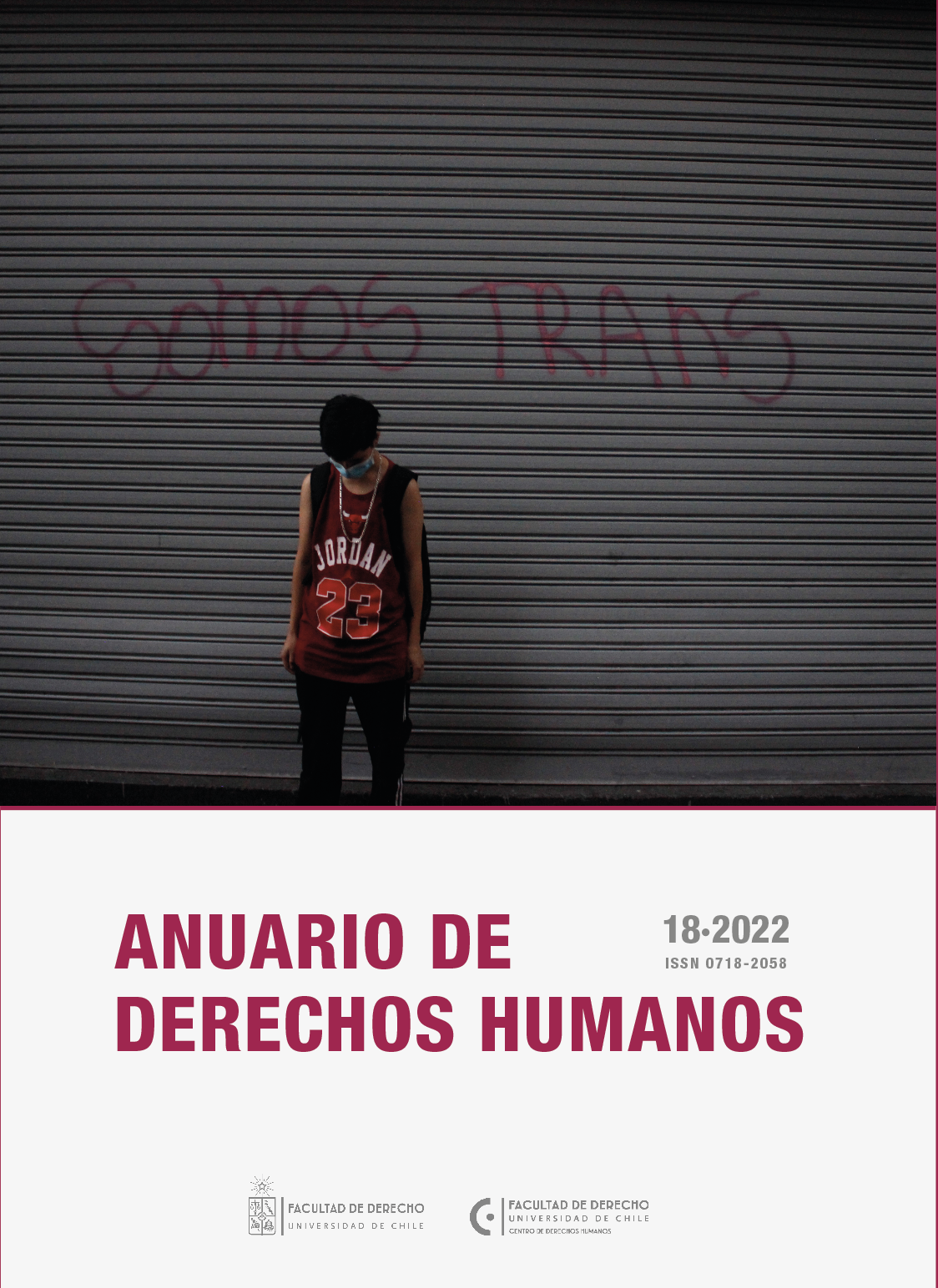 												View Vol. 18 No. 2 (2022): Anuario de Derechos Humanos
											